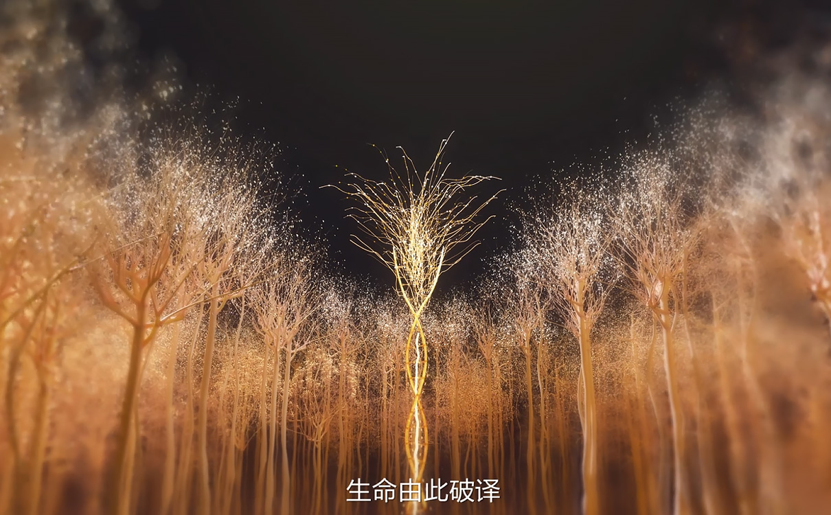 华大基因